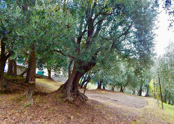 Le Giuee Casa de hóspedes Génova