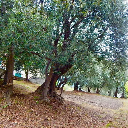 Le Giuee Pensionat Genua