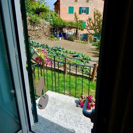 Guest house Le Giuee